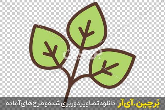 Borchin-ir-green Plant foliage linear vector icon وکتور برگ سبز png2