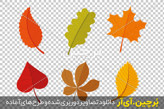 Borchin-ir-autumn-leaves-collection وکتور برگ های زیبای پاییزی png با کیفیت عالی۲