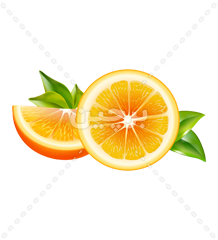 وکتور میوه قاچ پرتقال png