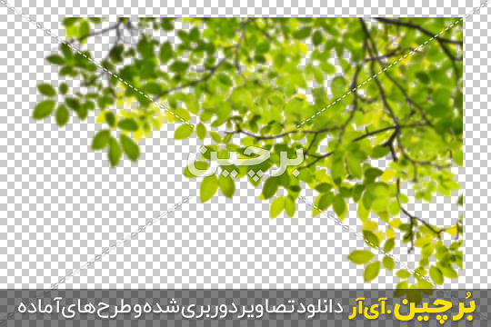 Borchin-ir-Green-Leaves-in-Corner-PNG-Image-04 عکس شاخه و برگ سبز درختان گوشه تصویر png2