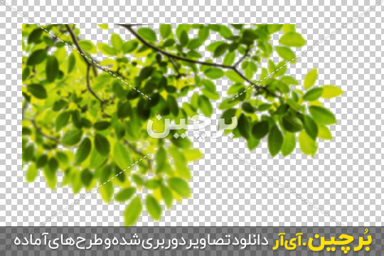 Borchin-ir-Green-Leaves-in-Corner-PNG-Image-19 عکس درخت گوشه عککس بصورت محو png