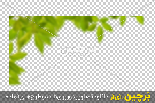 Borchin-ir-Green-Leaves-in-Corner-PNG-Image-20 دانلود عکس محو برگ درخت جلوی تصویر۲