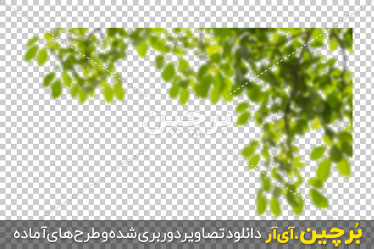 Borchin-ir-Green-Leaves-in-Corner-PNG-Image-21 شاخه درخت گوشه تصویر۲