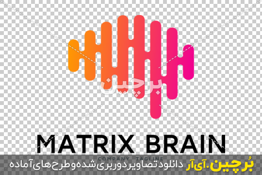 Bordhin-ir-Matric-Brain-Innovation-PNG-logo لوگوی png 2مغز